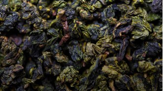 Oolong Tea