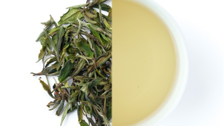 White Classic Tea : Description & Brewing Guide