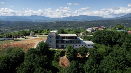 Restoring Old Plantations as an Alternative to Deforestation
