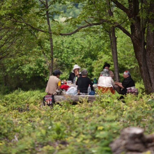 Tea Tour