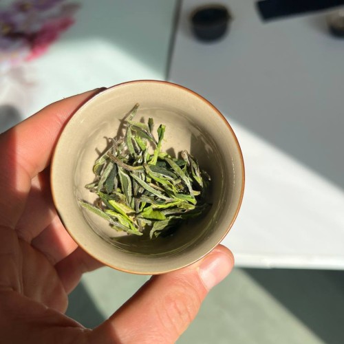 Tea Tour