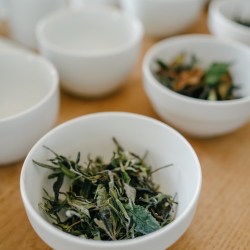 Tea Tour