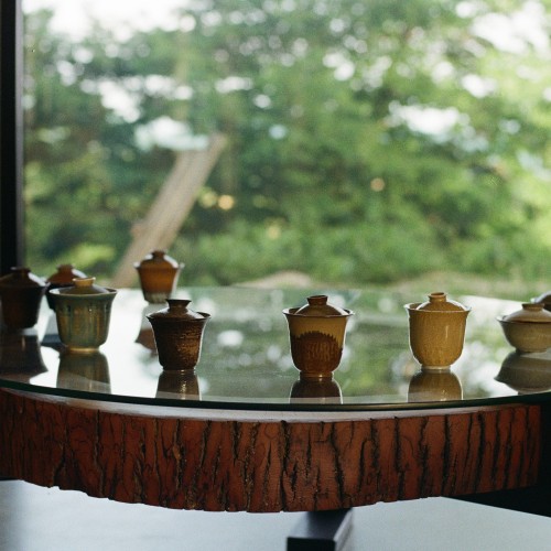 Tea Tour