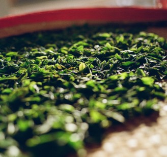 Tea Making Masterclass